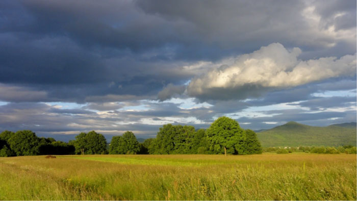 pokrajina